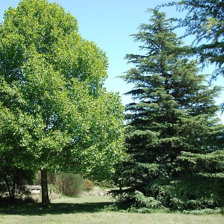 Вилла Laragh-On-Хогсбэк Экстерьер фото